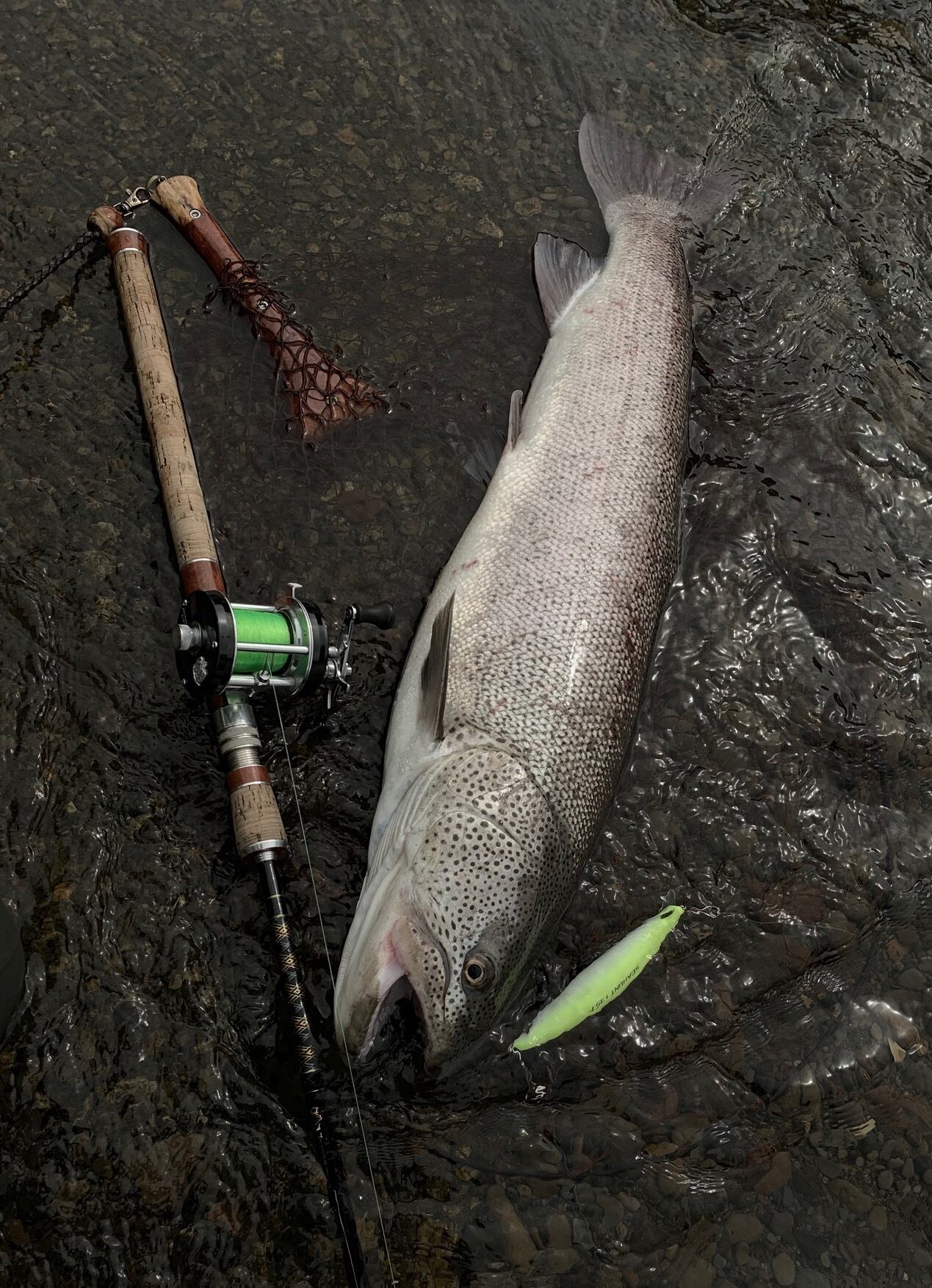 Dr. Boron Pluggin' Baitcast 81XH 紅 | saurusjunior
