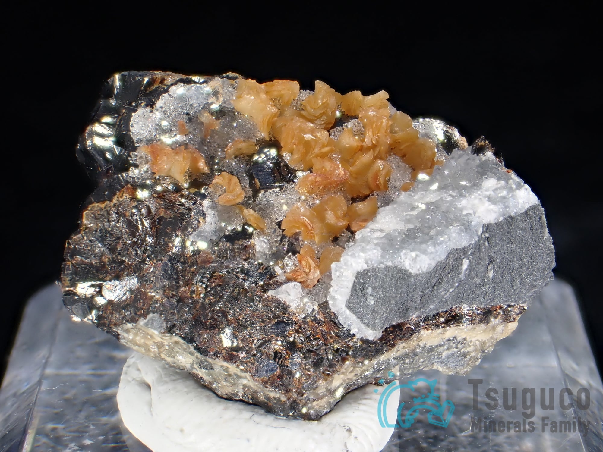 シデライト 菱鉄鉱 イギリス TM-821 | つぐこみねらるず ｜鉱物・原石