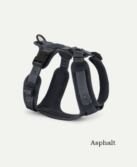 MiaCara Modena - Harness S サイズ | With Wanko