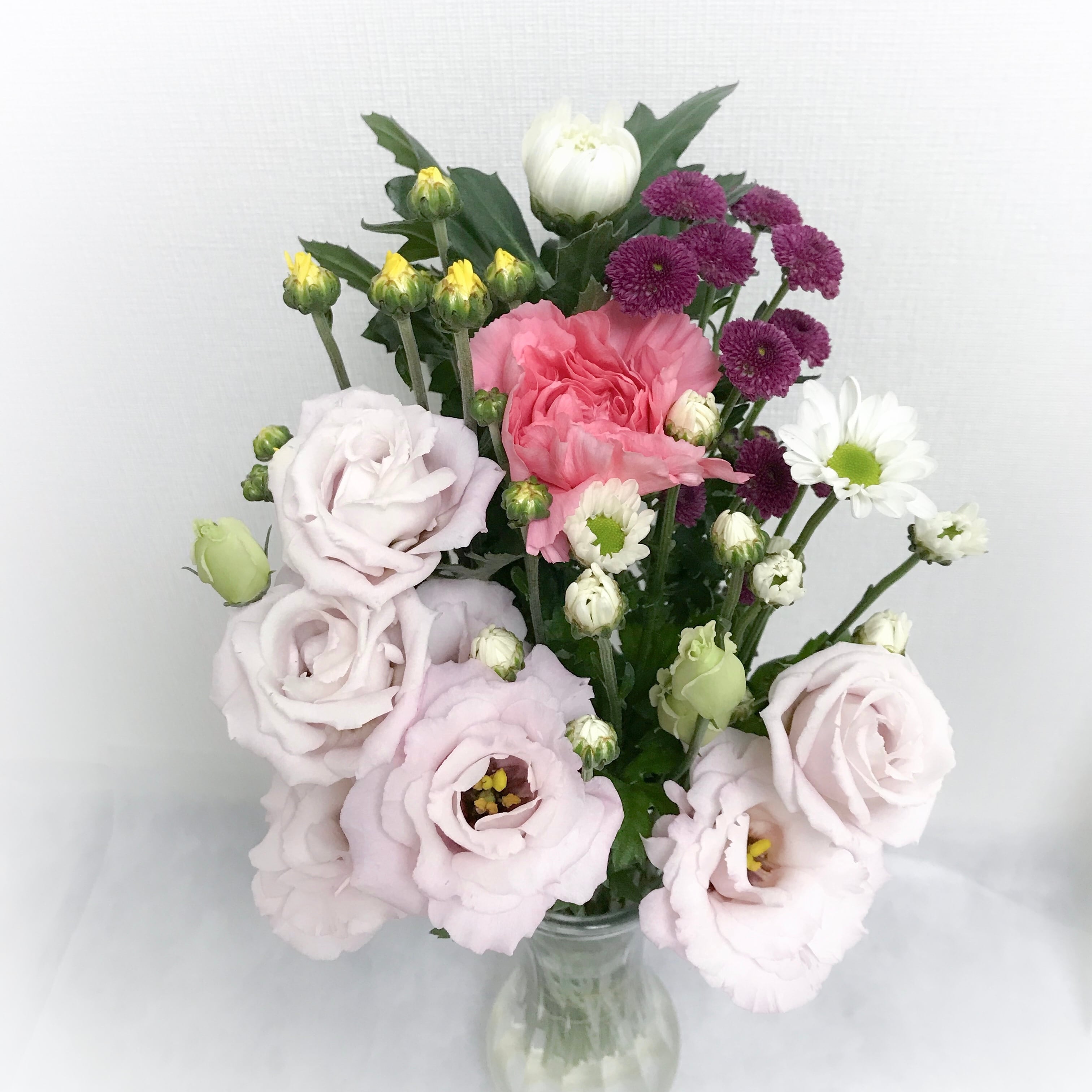 仏花の定期便 月2回コース ¥1,200/回 | Miraflora ミラフローラ花の