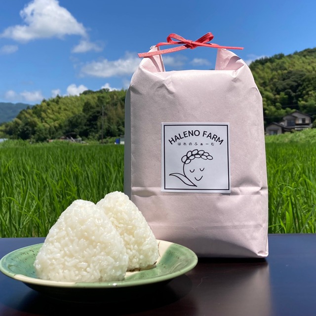 きぬむすめ 10kg | halenofarm きぬむすめ 10kg | halenofarm