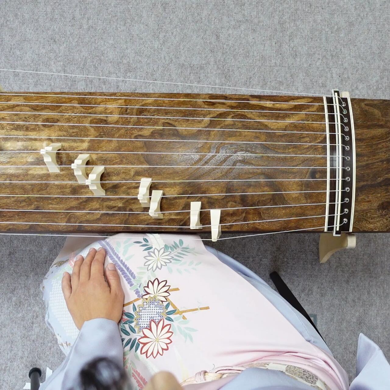 琴☆箏☆セット☆爪付