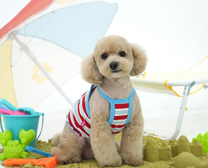 winkholic crop top S ~ XL 2color / 犬服 春夏 新作 Tシャツ ドッグウェア ショート丈 袖なし 小型犬 中型犬 トップス 涼しい お揃い クロップド top152