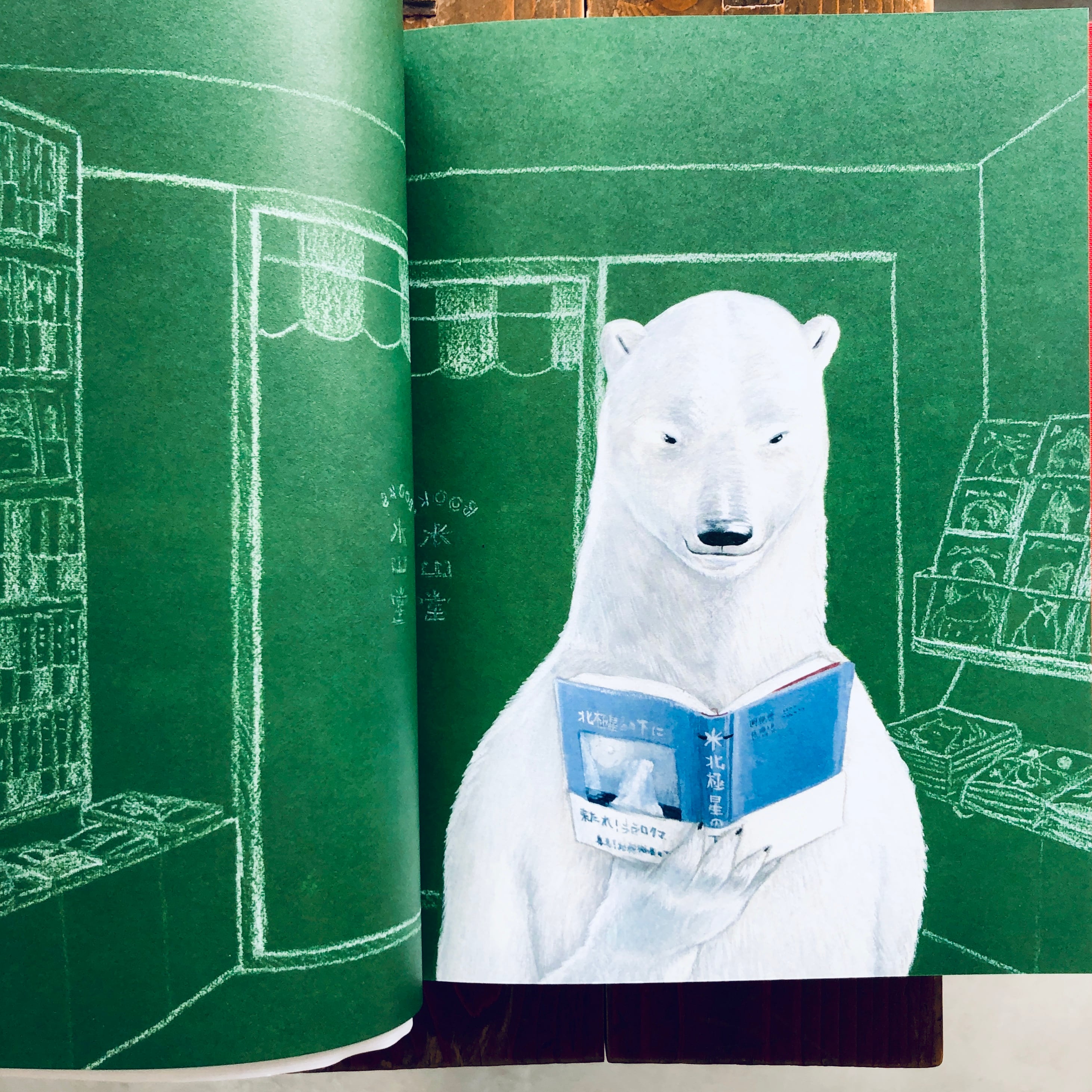 庄野ナホコ「Books & Birds」展 原画 美品 庄野ナホコ「Books & Birds」展 原画 美品 Circus of Wonders