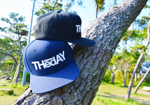 THedAY 3D LOGO CAP