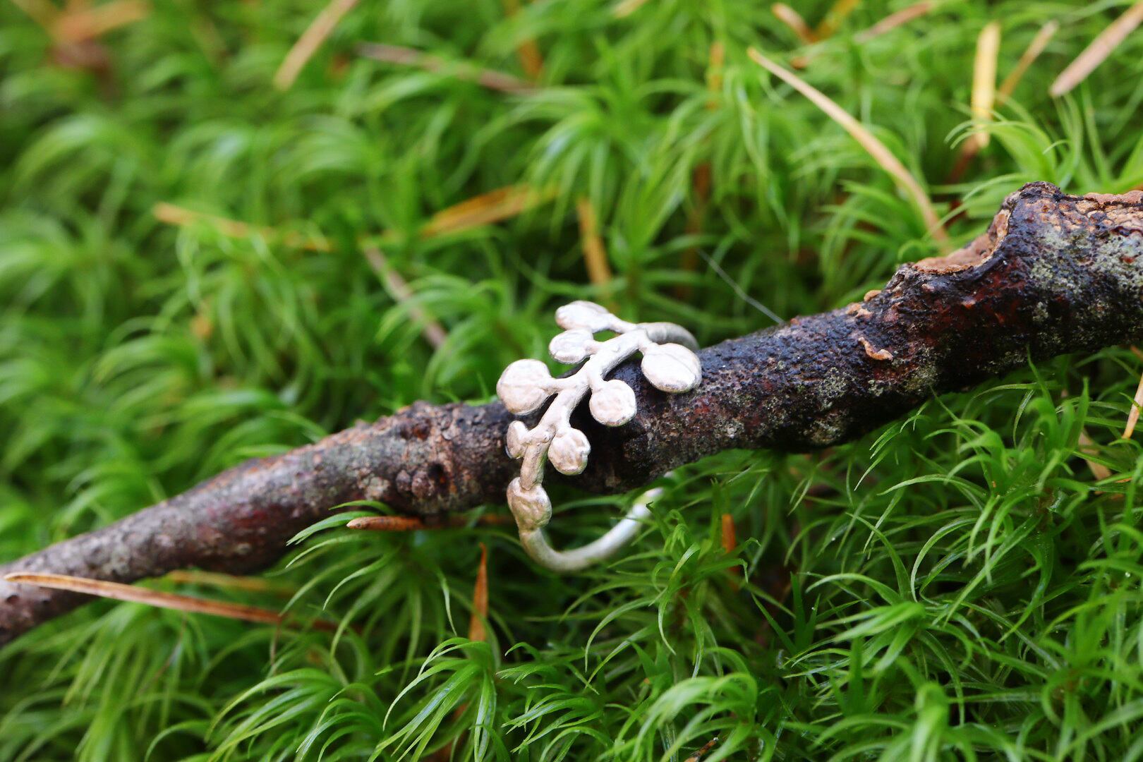 草のゆかり ナズナのピンキーリング