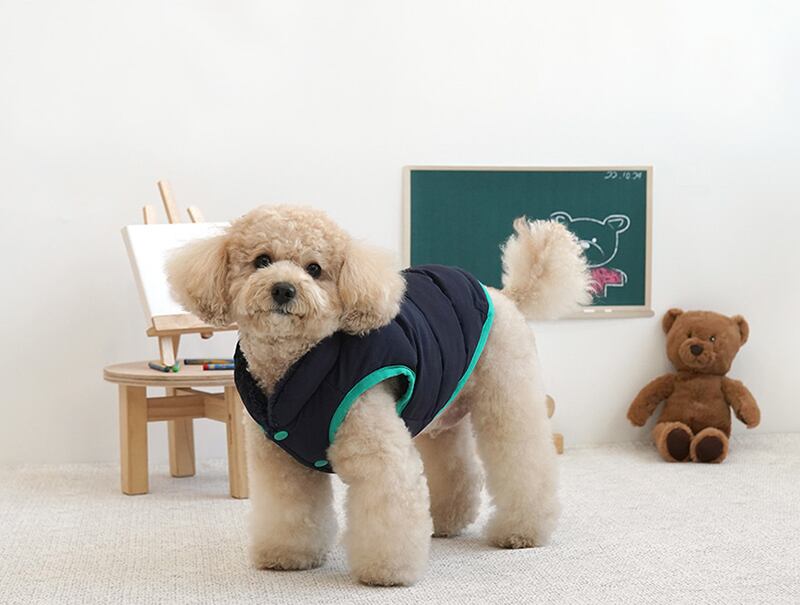 campus bear padding S ~ 2XL 2color  /  犬服 秋冬 新作 アウター リード通し もこもこ ドッグウェア ダウン ベスト 小型犬 中型犬 猫 お揃い シンプル