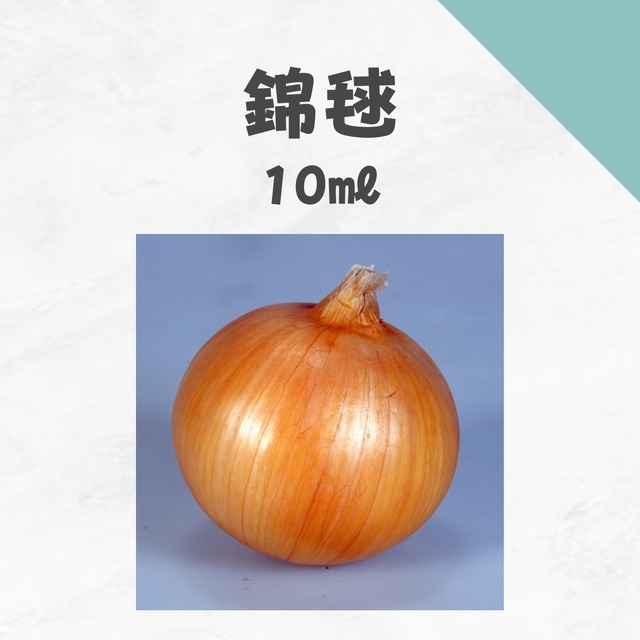 錦毬　タマネギ種子・10ml