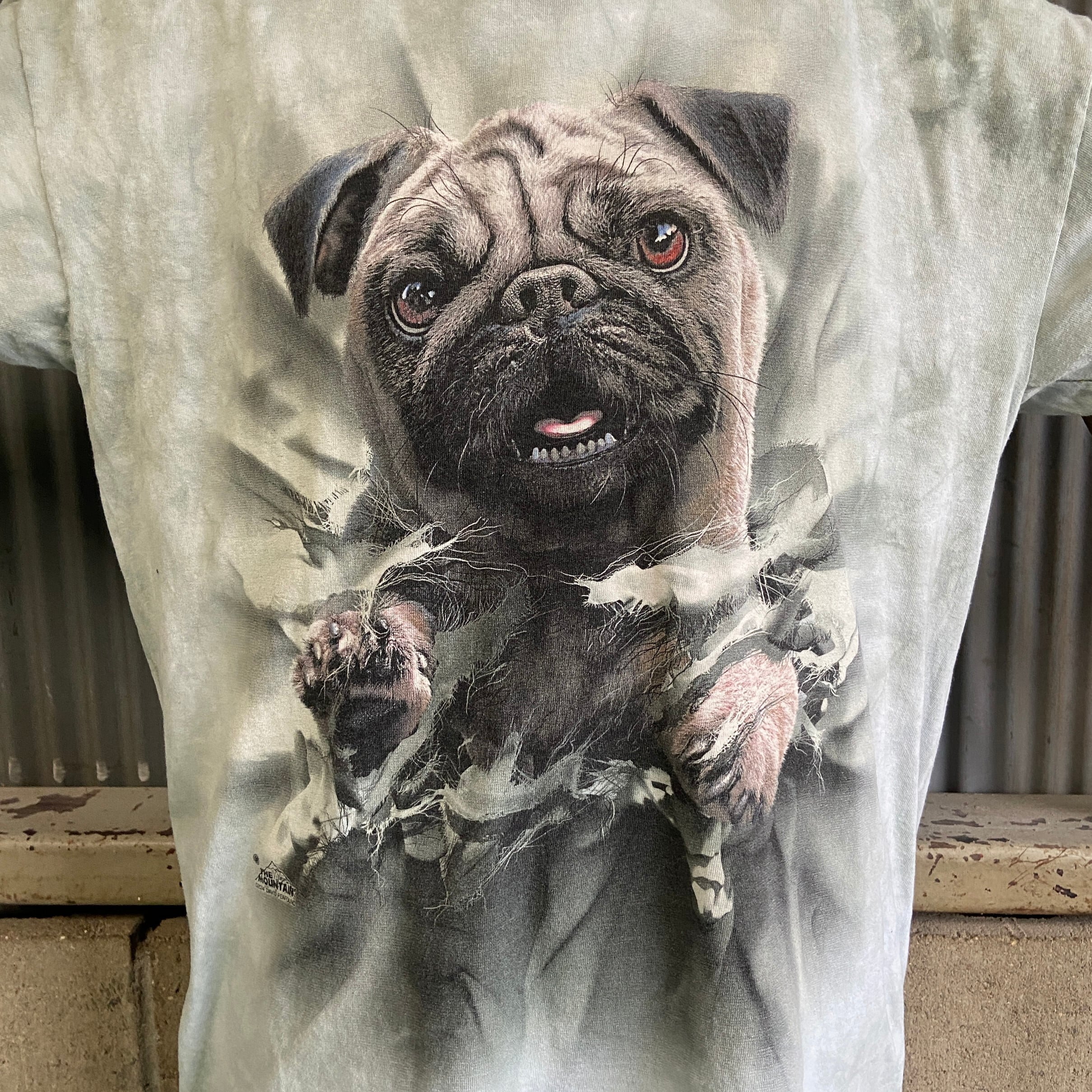 THE MOUNTAIN タイダイ パグ 犬 動物 アニマルTシャツ メンズXL 古着 