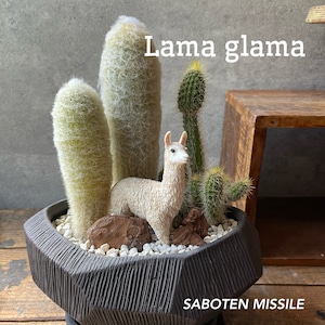 Lama glama リャマ