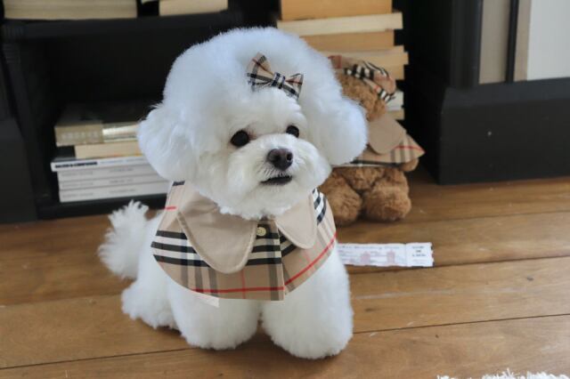 《予約》HI0011 Nova Check Cape