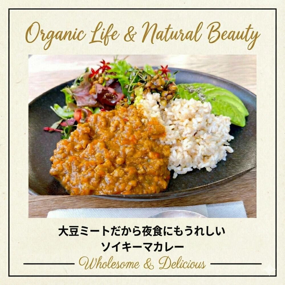 大豆ミートだから 夜食にもうれしい ソイキーマカレー（1食分160g