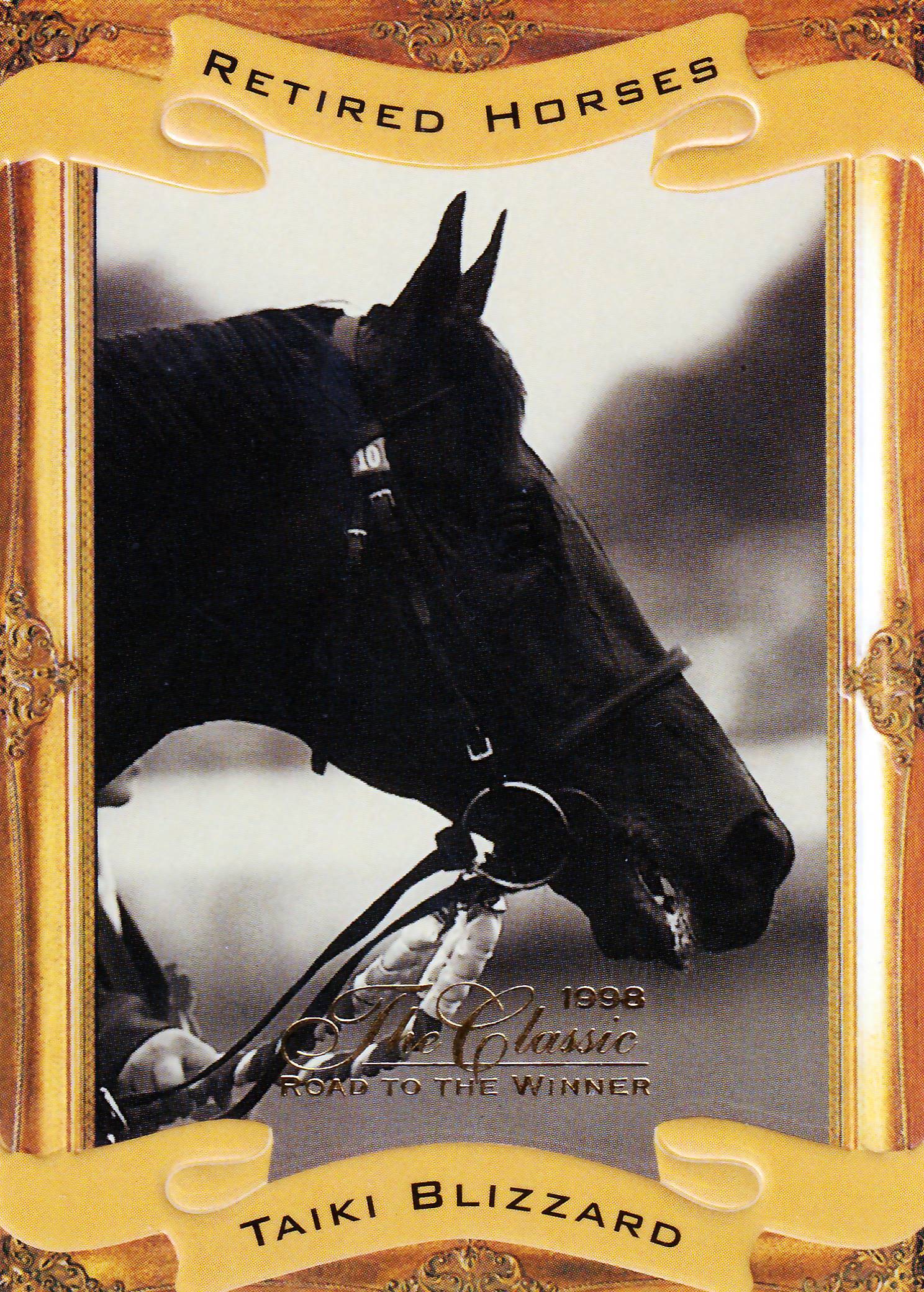 タイキブリザード「The Classic 1998 Road To The Winner」RH-9