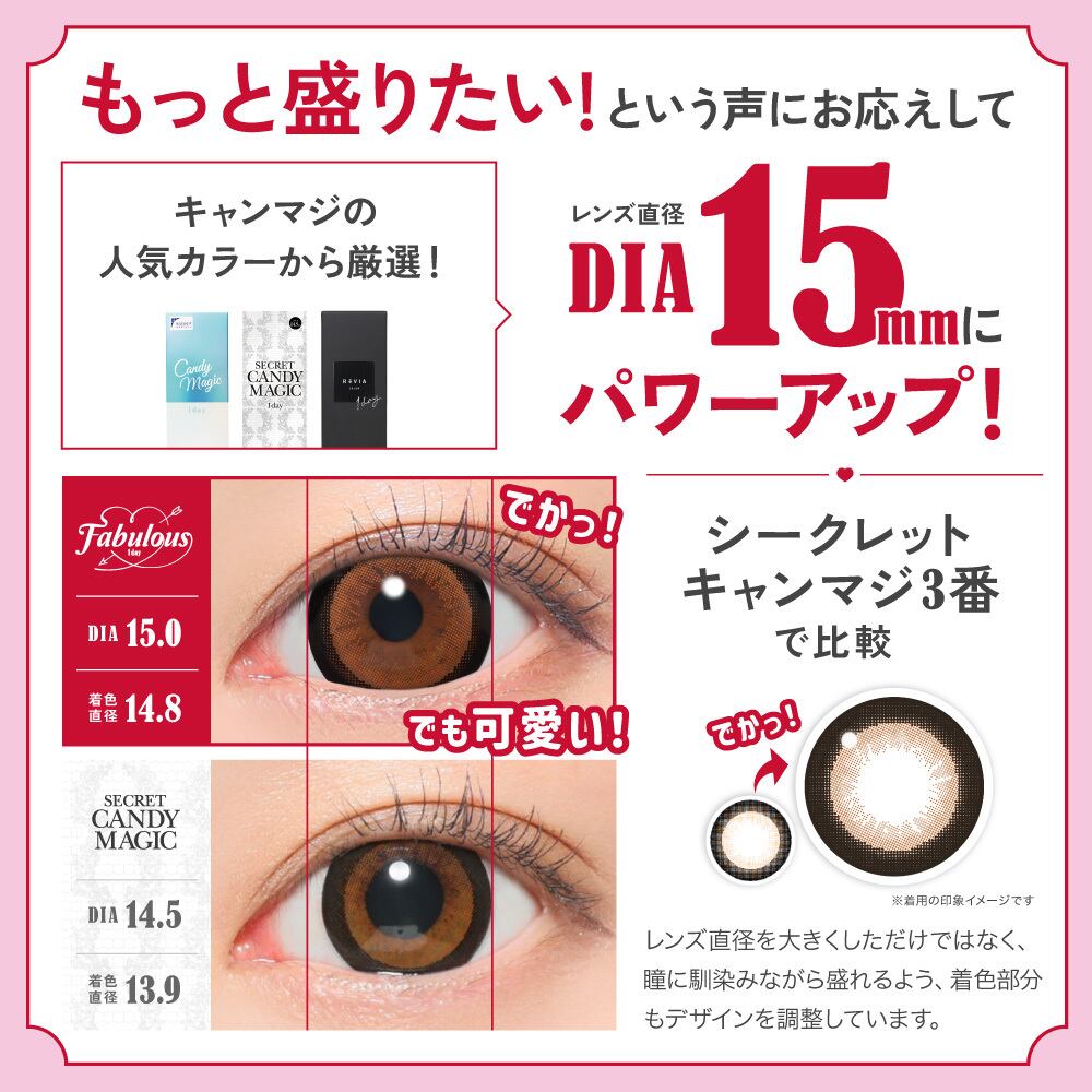 ファブュラス☆様 Fabulous（ファビュラス）1day【NO.5 ブラック】1箱10枚入 ワンデー