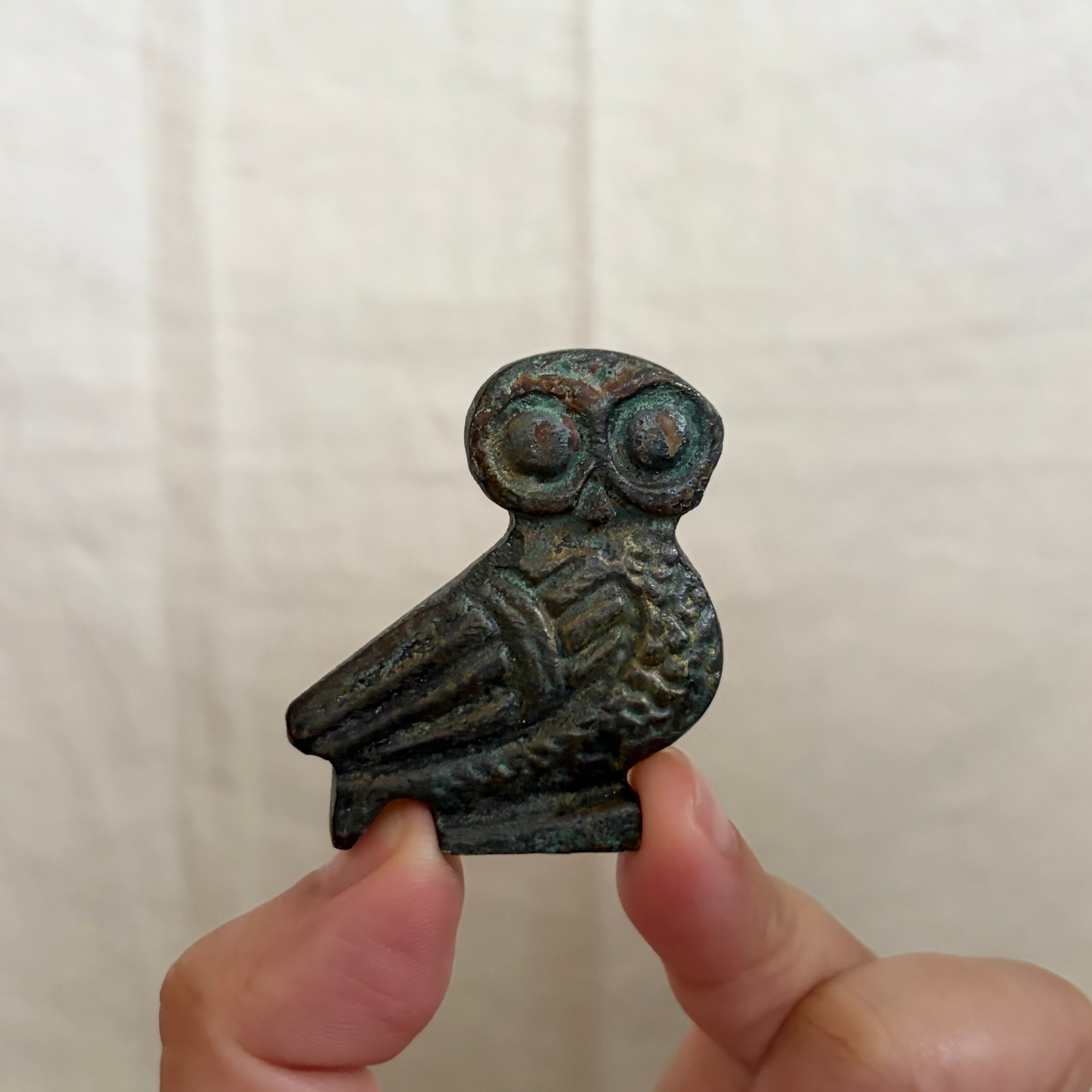 薄いフクロウ