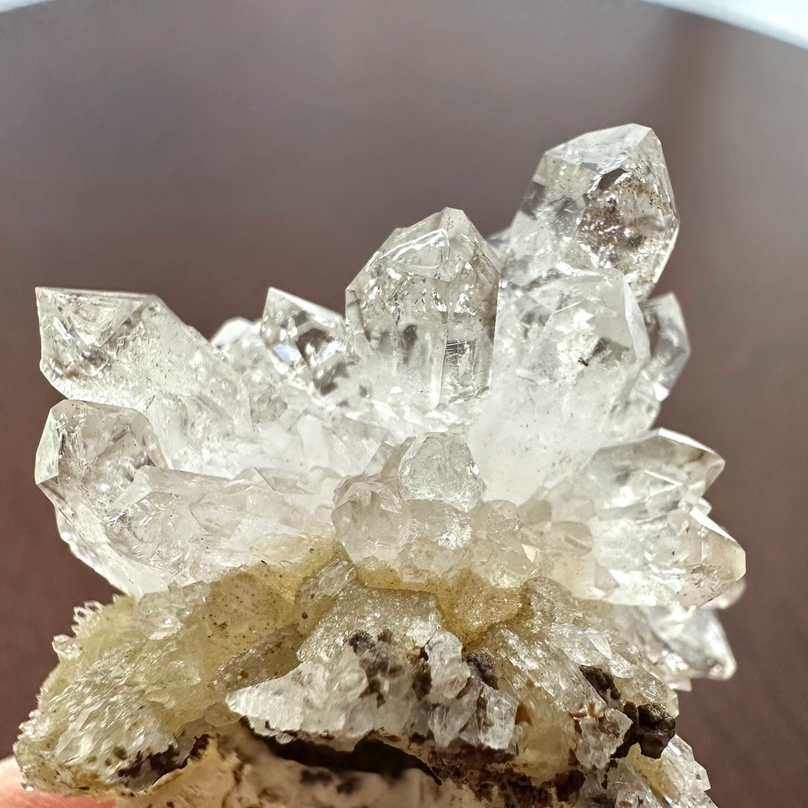 クォーツ / ヘマタイト【Hematite in Quartz】ナミビア産 | PEANUTS