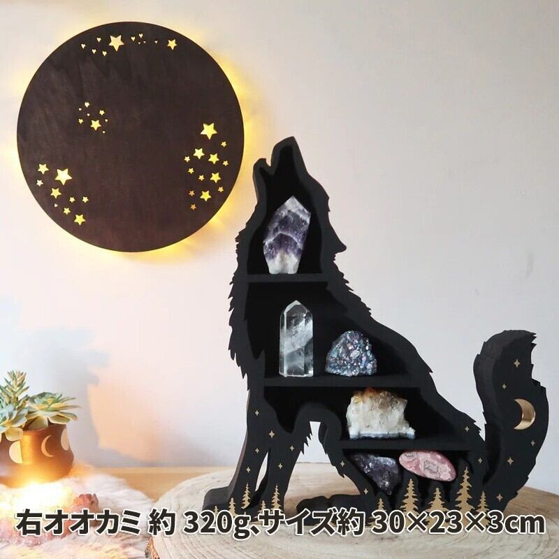 鉱物 化石 天然石 原石 ミネラル パワーストーン 岩石 石 コレクション