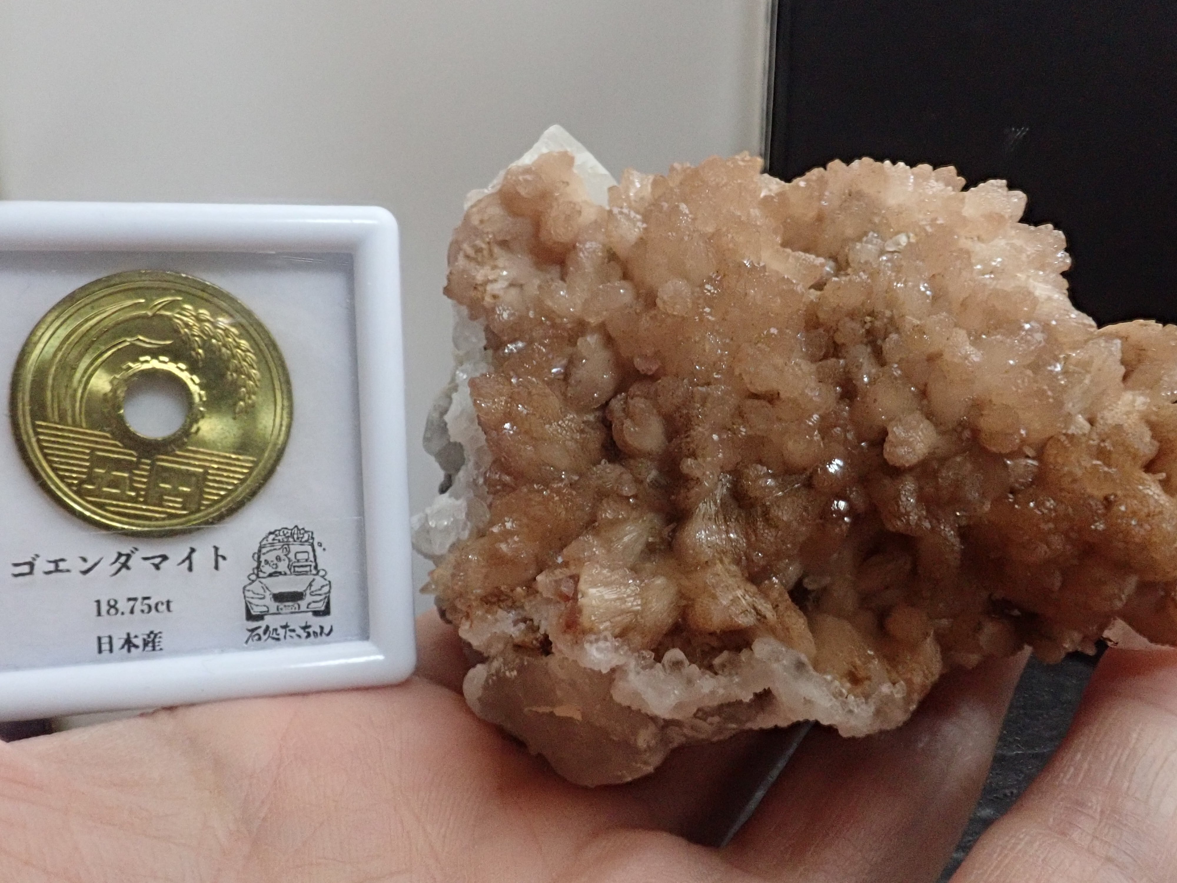 希少キャビネットサイズ】オルミアイト＆クォーツ＆カルサイト オルミ