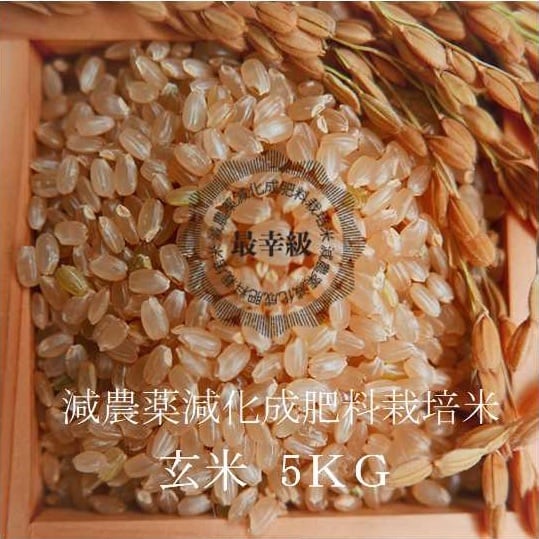 南魚沼産コシヒカリ 玄米 令和7年産〉【従来品種】南魚沼産コシヒカリ 玄米5kg | yamamotoke-store