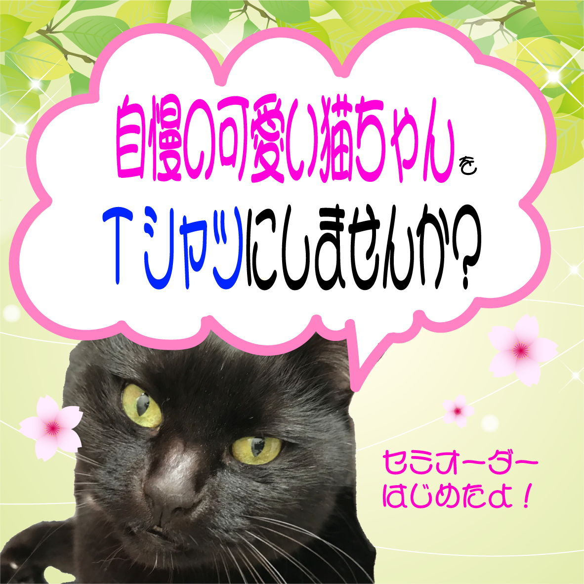 B5 手描きイラストプリント ねこ ネコ ハムスター 動物 友達 可愛い 猫 癒し 絵 送料無料 一部地域を除く 絵