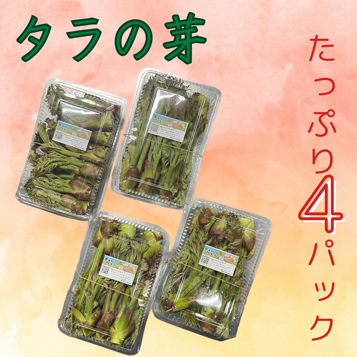 タラの芽 190g×4パック | 原生林の熊