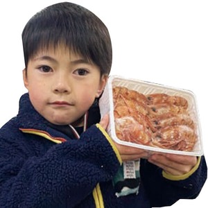 ボタンエビ 北海道産 300g 1パック(12〜14尾)