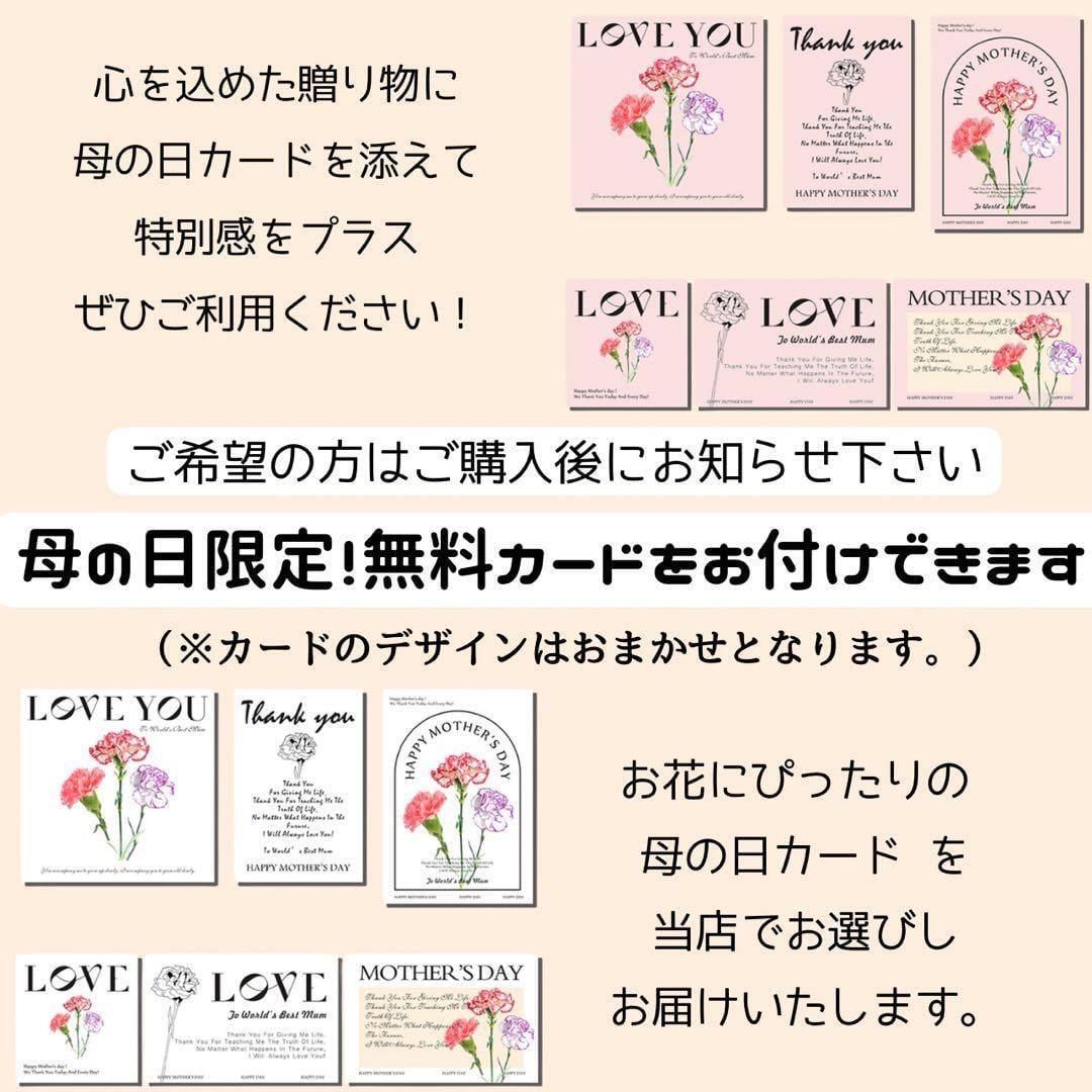 そのまま渡せる母の日フラワーバッグS 光触媒で清潔長持ち アート