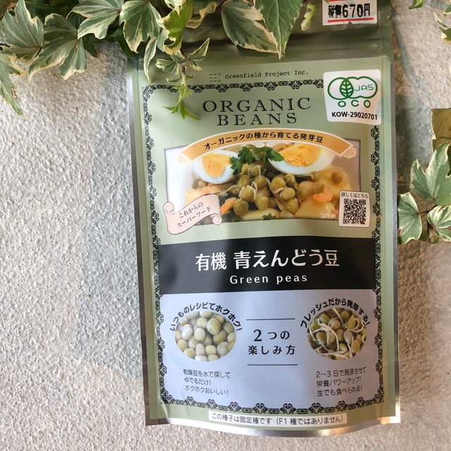 有機青えんどう豆 オーガニックの種から育てる発芽豆 橋本種苗園