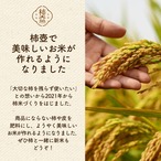 【予約・10月下旬～11月発送】【2026年産】伊豆柿 2 L 11玉（2.5ｋｇ）