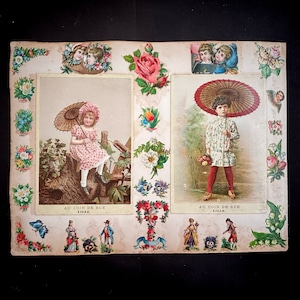 ダイカット集「エキゾチック」