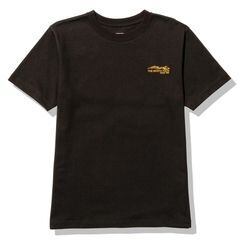 THE NORTH FACE(ノースフェイス) - S/S ONE POINT GRAPHIC TEE(ショートスリーブワンポイントグラフィックティ-) NT32334