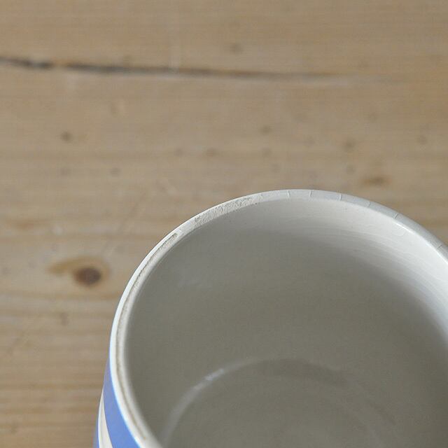 T.G GREEN Mug【A】 / コーニッシュウェア マグカップ / 1904 T.G GREEN Mug【A】 / コーニッシュウェア マグカップ / 1904