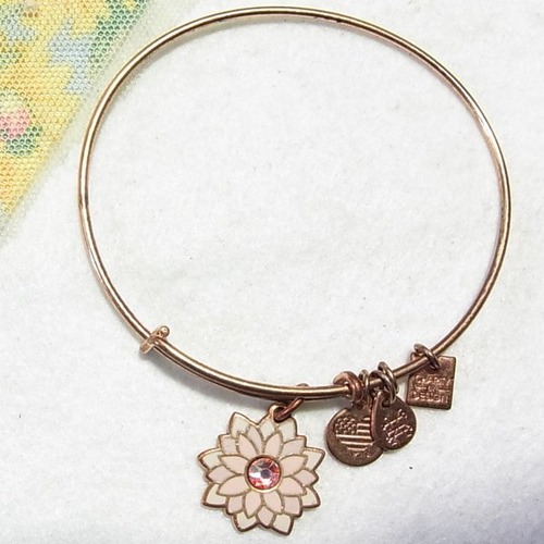 ALEX & ANI 銅色のバングルブレスレット　アクセサリーのセール通販　11170BR