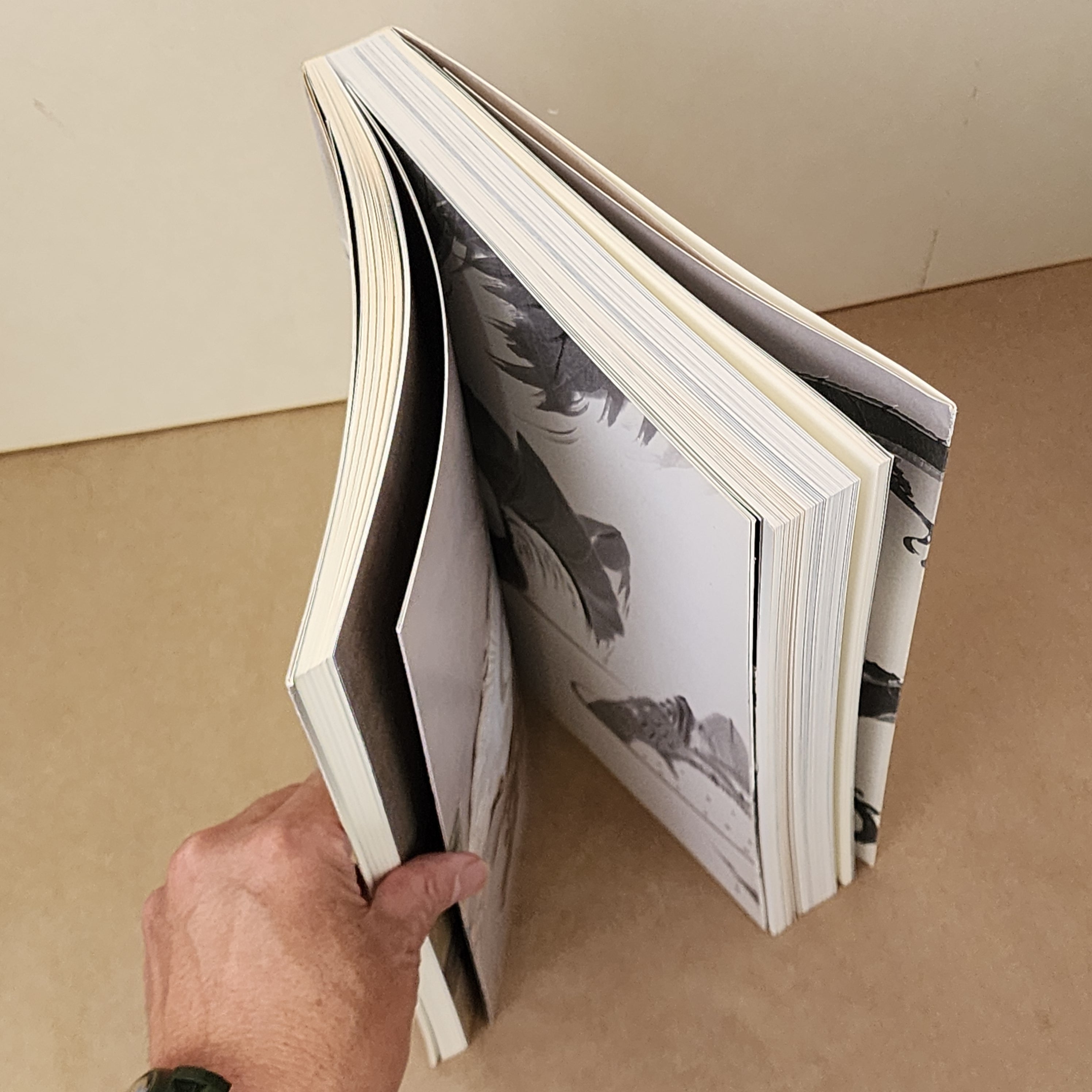 没後200年 若冲 特別展覧会 図録 ｜古本 ｜伊藤若冲 | 古本とうつわと