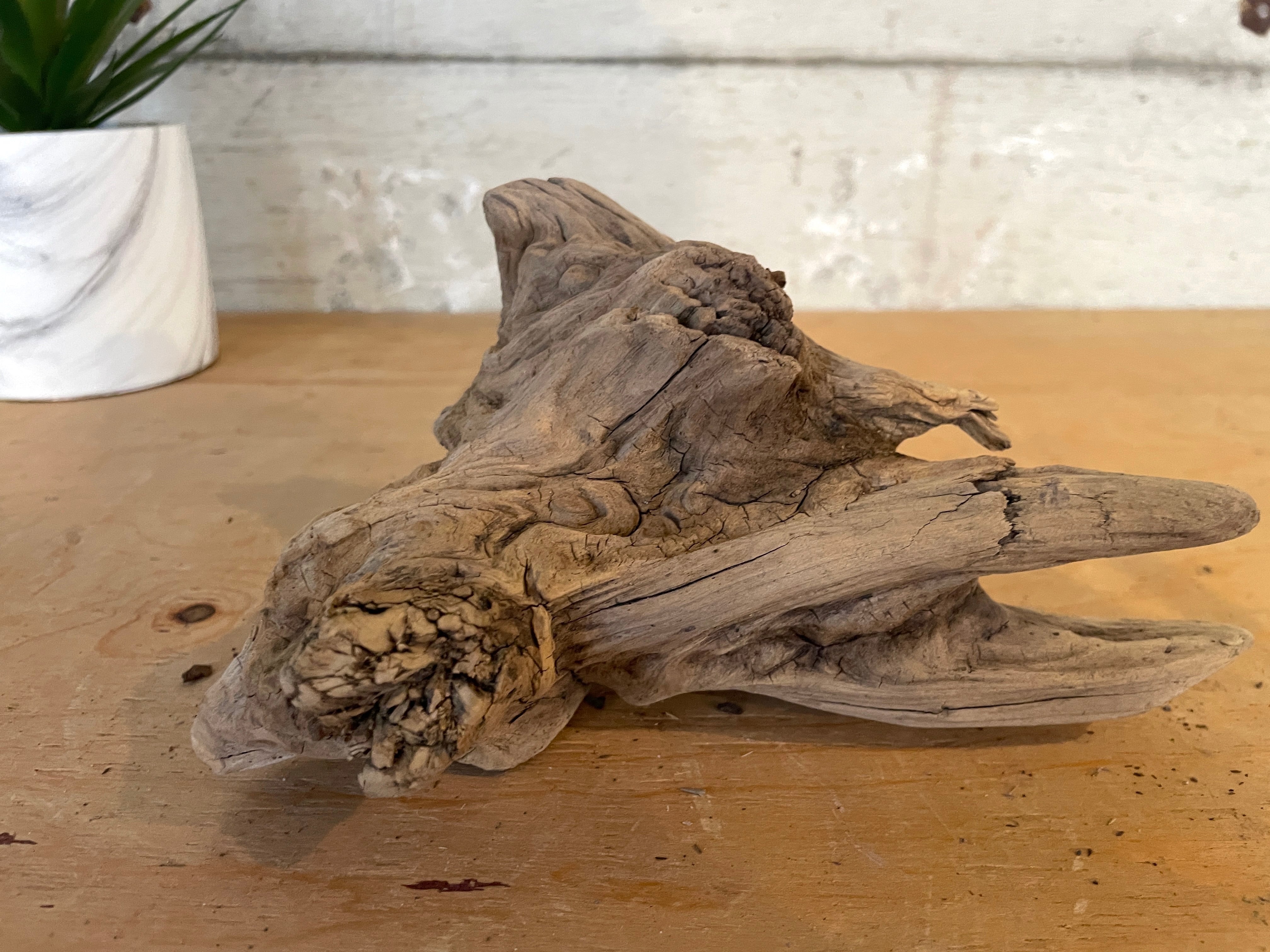 pomme　MRW-5484 「小流木追加」天然赤系枝流木　流木まとめ売り pomme MRW-5484 「小流木追加」天然赤系枝流木 流木まとめ売り