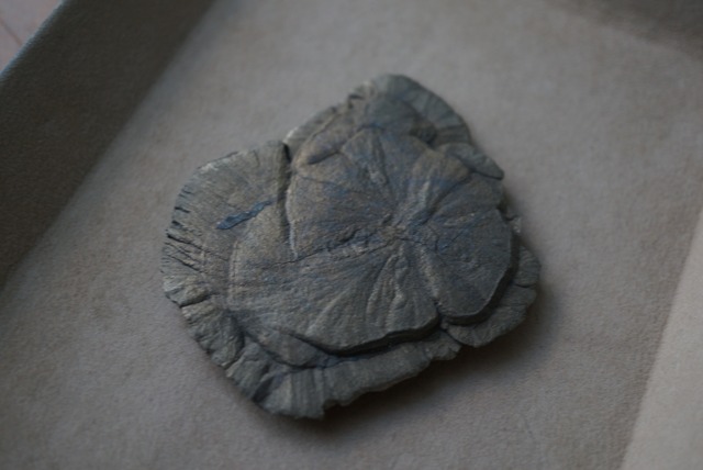 パイライトサン Pyrite Sun 1679