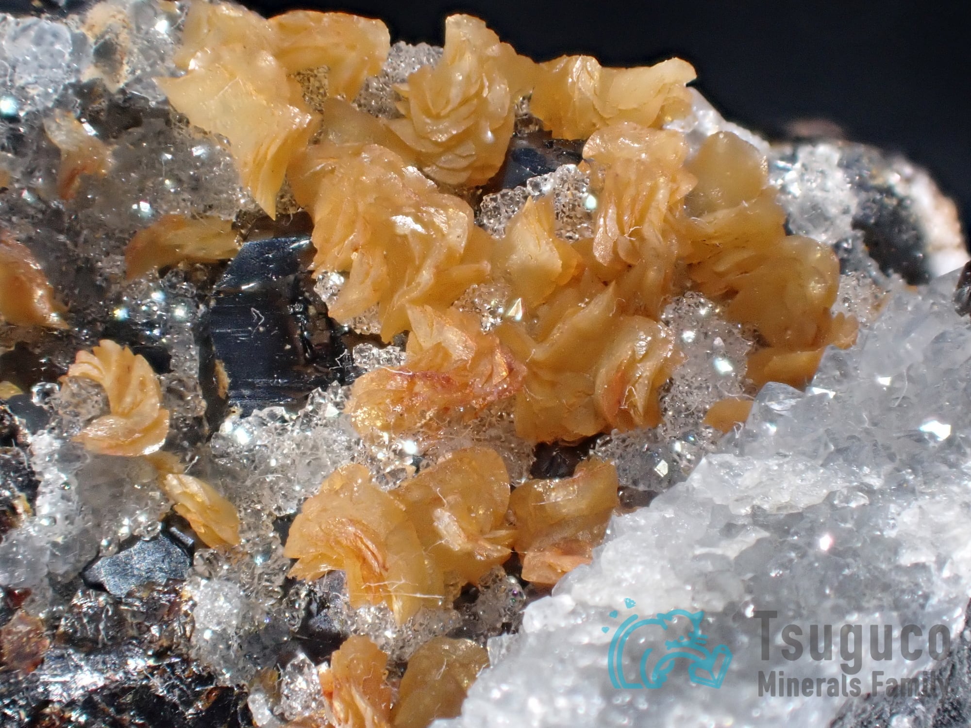 シデライト 菱鉄鉱 イギリス TM-821 | つぐこみねらるず ｜鉱物・原石