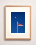 カモメと星条旗