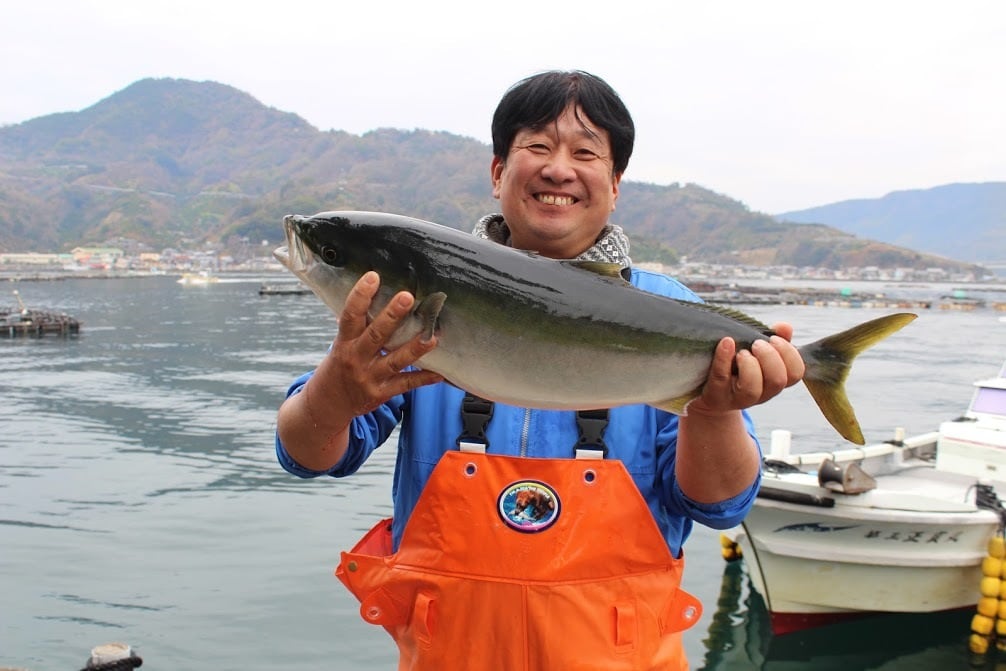 バレンタイン限定】チョコブリ丸ごと1尾・冷蔵 | 宇和島プロジェクト
