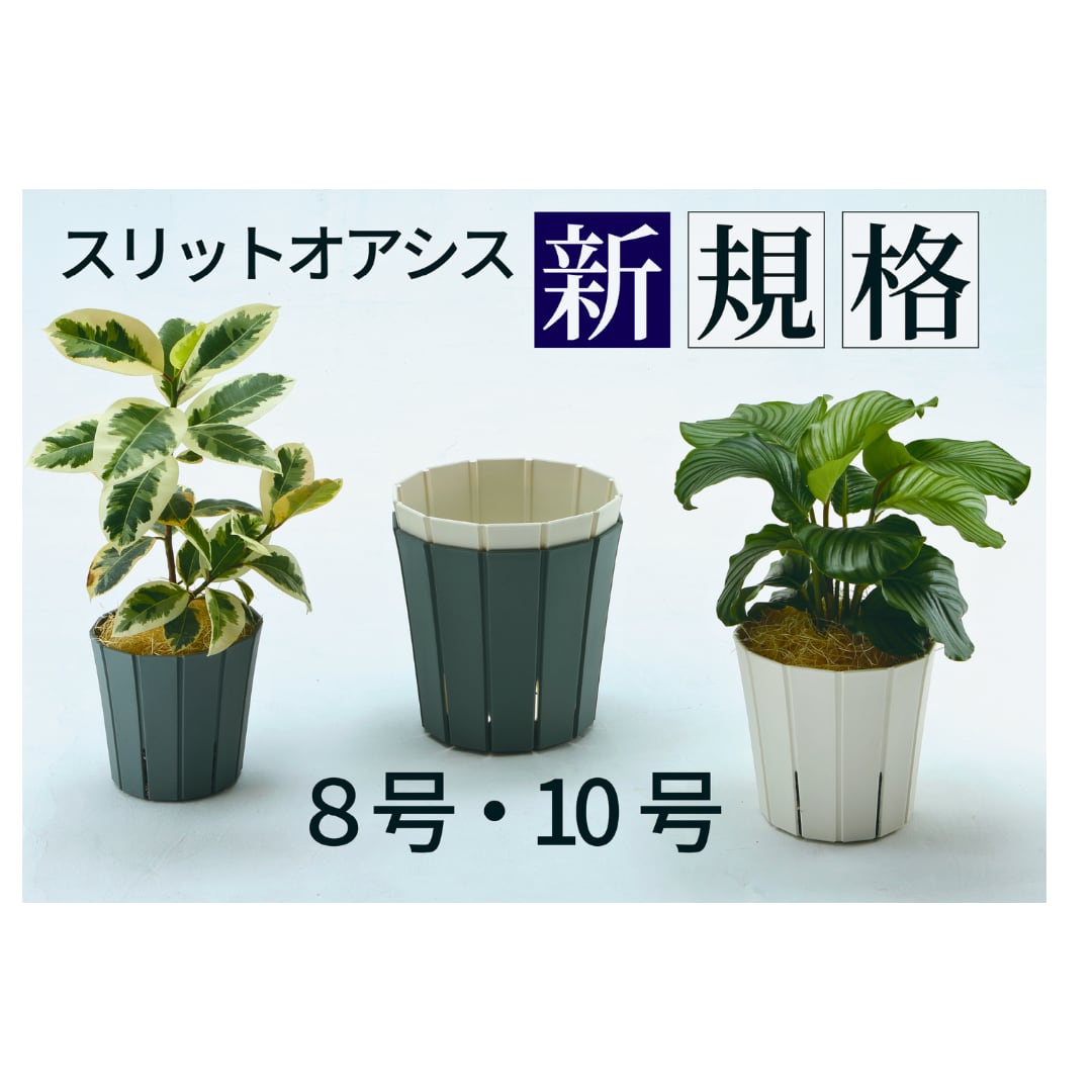 スリットオアシス(10号)スリット鉢 アップルウェアー おしゃれなスリット鉢 インテリアグリーン