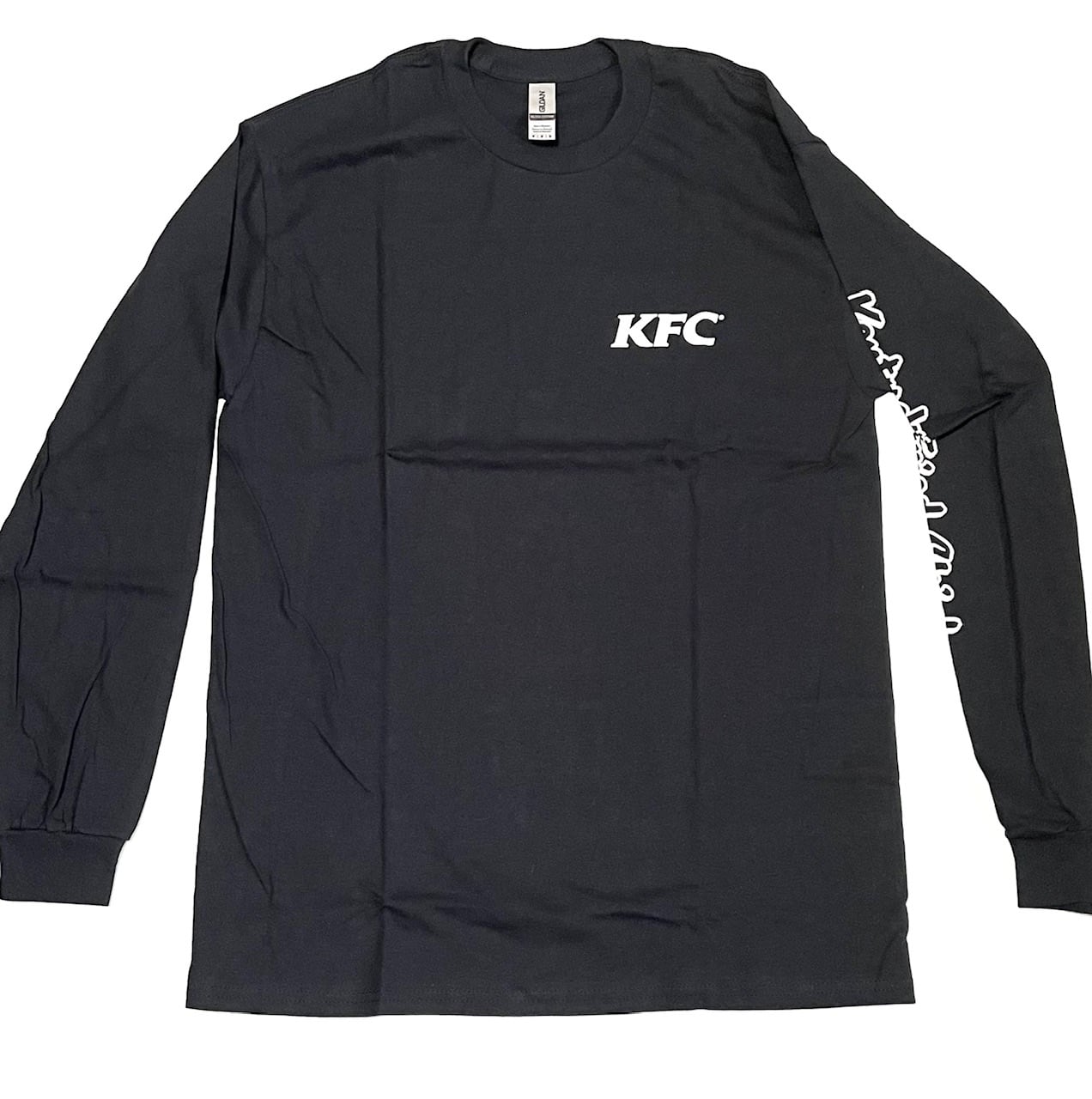 HAWAIIAN6 Tシャツ バンドT | discolor