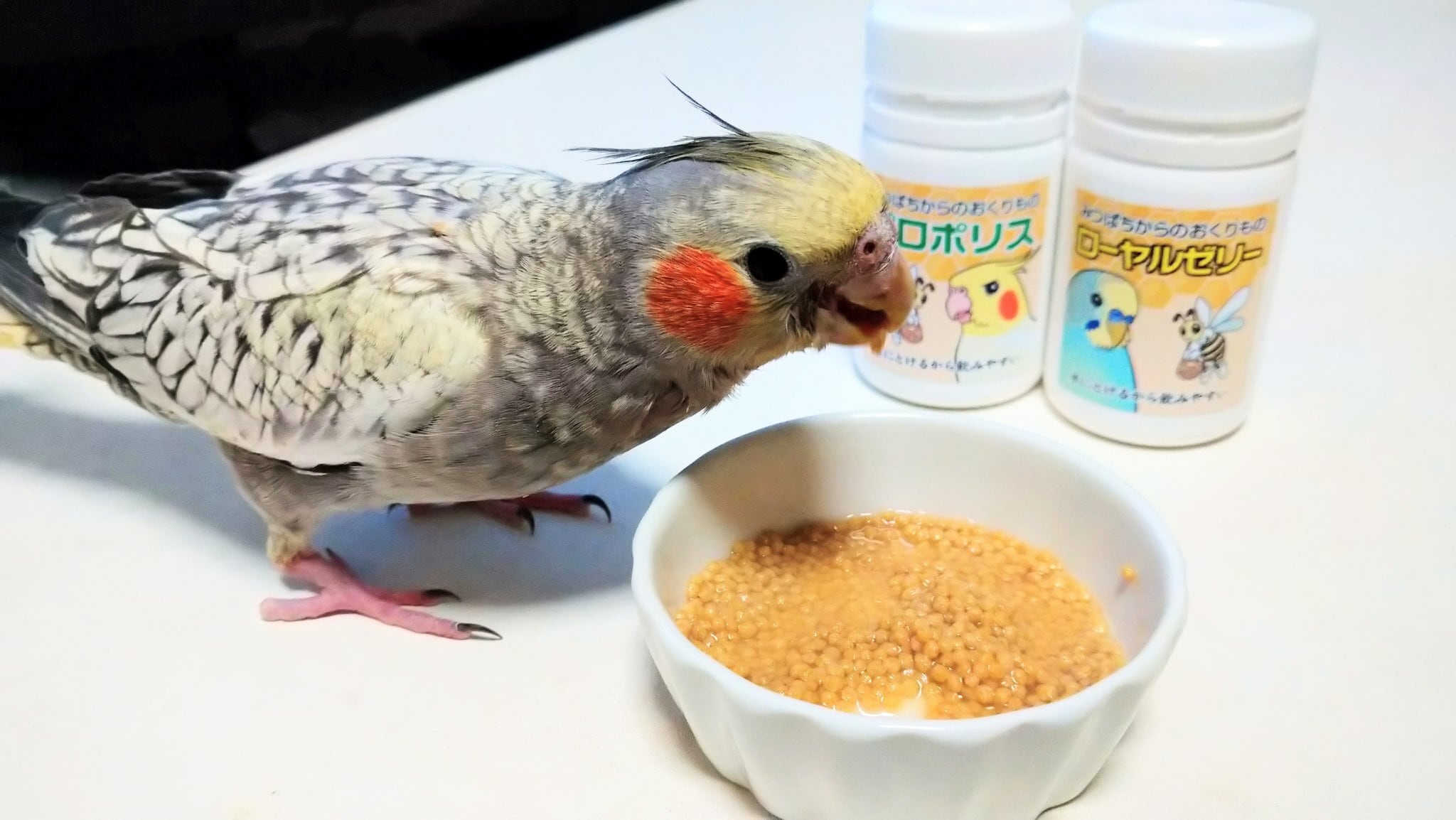 みつばちからのおくりものプロポリス(40g)・みつばちからのおくりもの