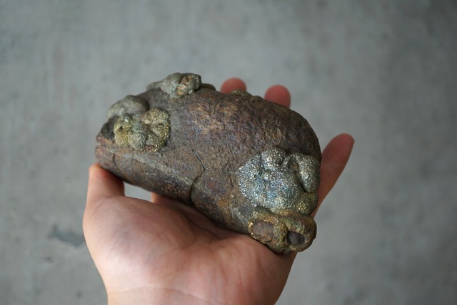 パキスタン産レインボーパイライト 特大 Pyrite/Marcasite 1236