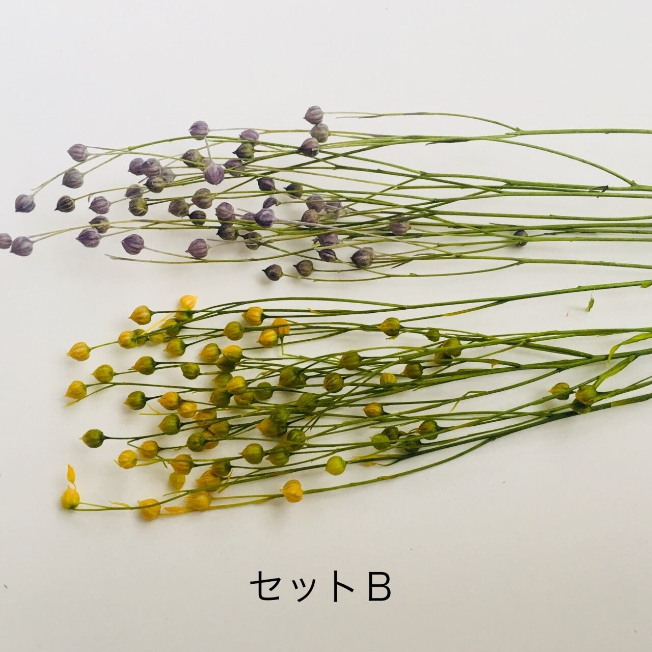 花材 プリザーブドフラワー リンフラワーミニ セットb ハーバリウム通販 資材販売のloabel ロアベル オンラインショップ