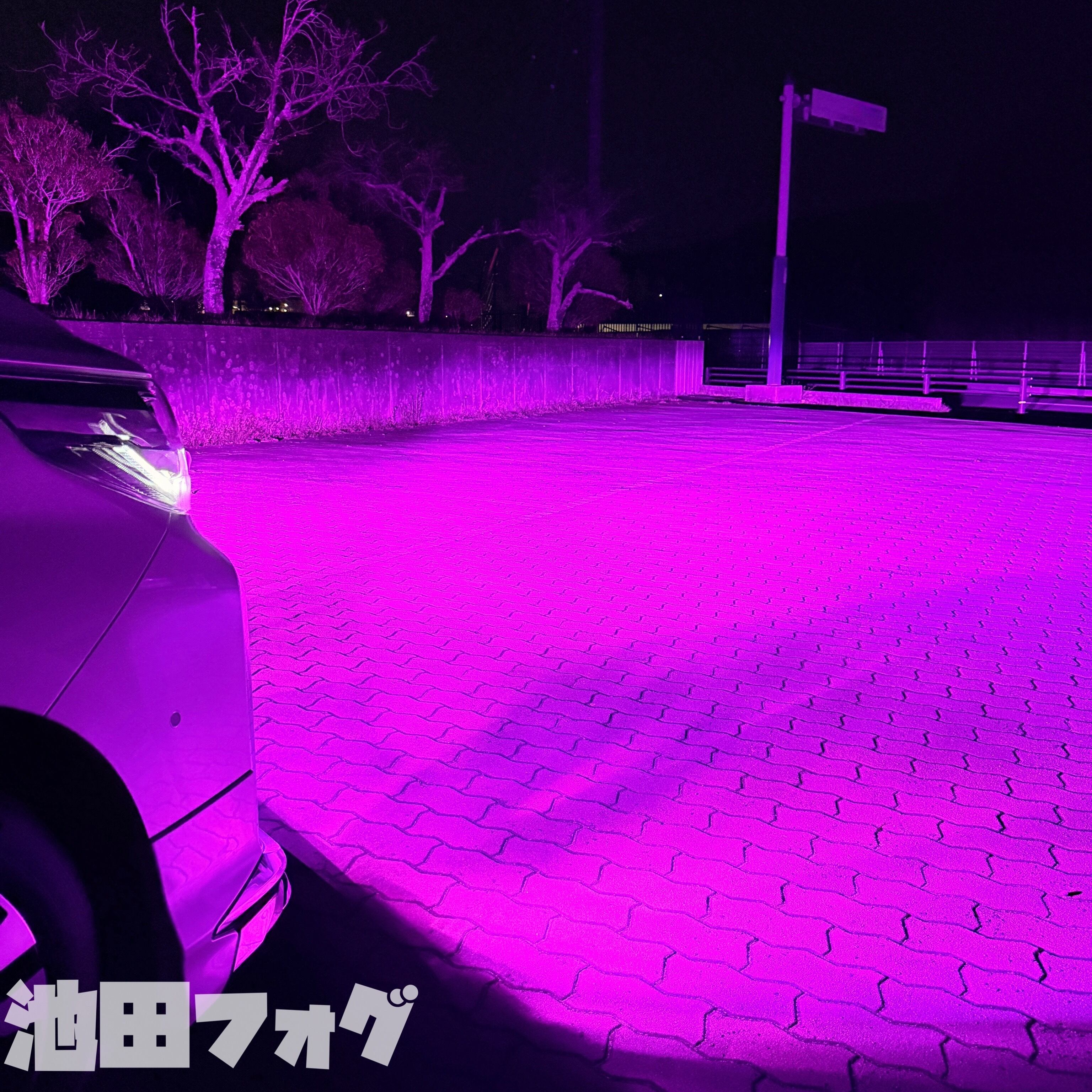 超爆光 パープルピンク フォグランプ 実測14000lm越え H8/H11/H16 HB4