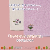 【秋限定少しだけ厚め】あきのはらまき PEANUTS