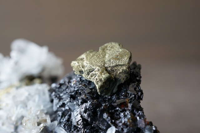 クォーツ/ガレナ/チャルコパイライト/パイライト　Quartrz/Galena/Chalcopyrite/Pyrite 1073