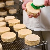 エポワス AOP シャランセ フランス ブルゴーニュ グラスフェッド ウォッシュ チーズ250g Epoisses Chalancey AOP Washed Rind Cheese Grassfed 250g