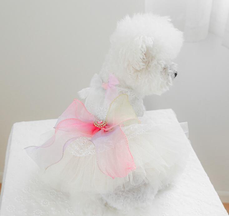 《予約》№3102148 虹色リボンのチュールワンピース