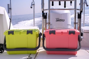 【デットストック品・2026年発送】D-5000 ピーチピンク／ライムイエロー